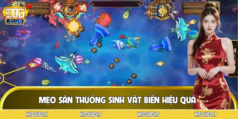 ban-ca-sau-vang-meo-choi