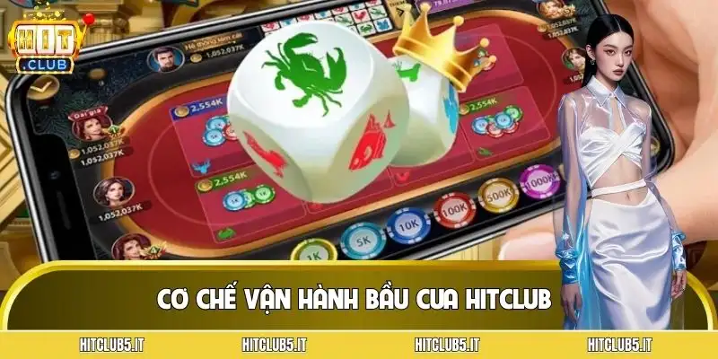 bau-cua-hitclub-co-che-van-hanh